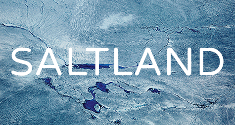 Saltland: Ethereal Explorations in Sound and Emotion