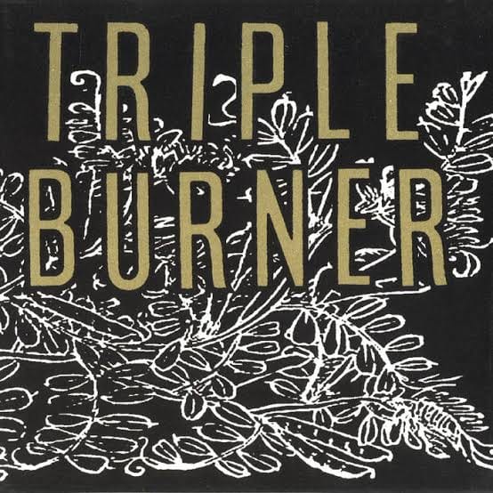 Triple Burner: A Fusion of Folk and Experimental Soundscapes